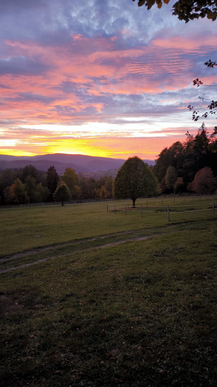 Večer nad hájenkou